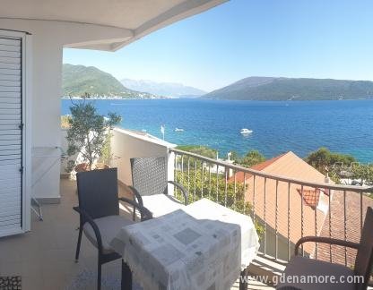 Apartmani Miljevic, Juzni apartman, privatni smeštaj u mestu Herceg Novi, Crna Gora - 20200821_150414